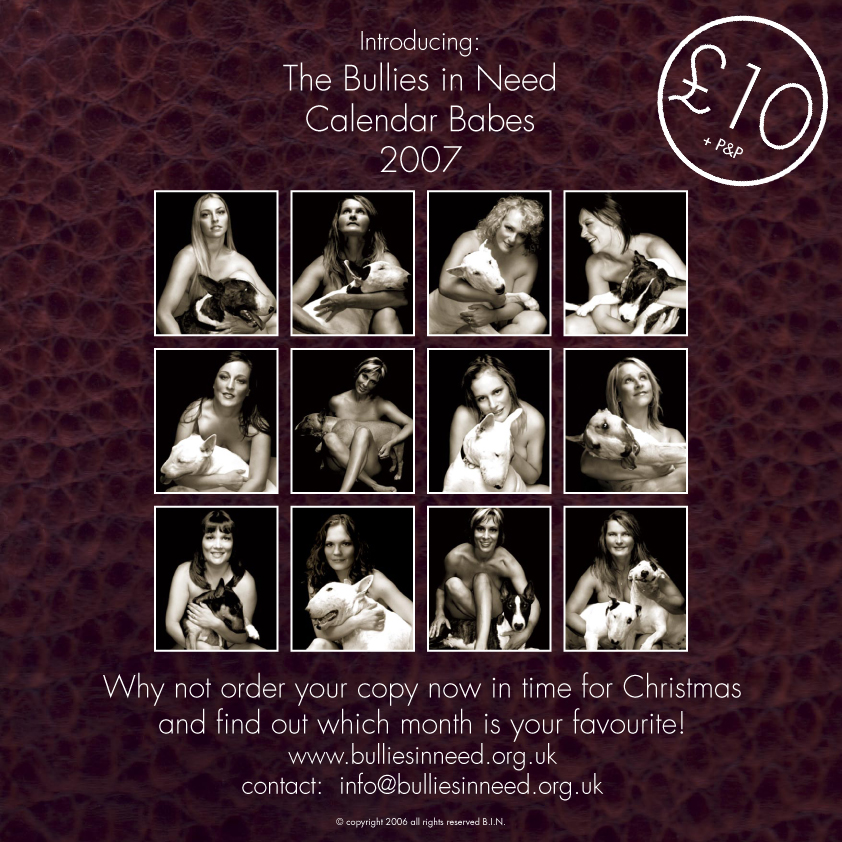 Bully Babes Calendar poster