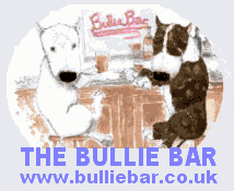 The Bullie Bar
