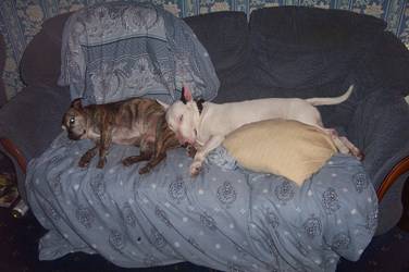 Buster & Bonnie