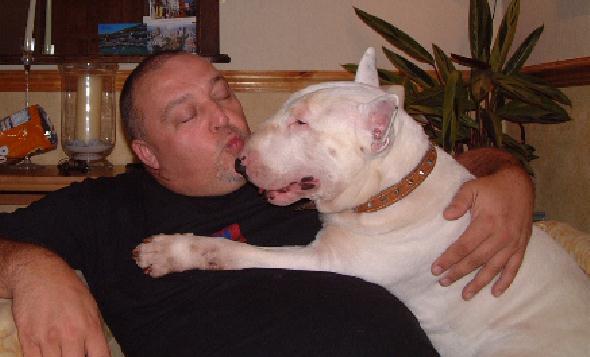 Tonka at home