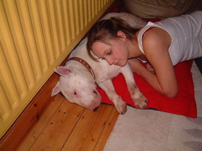Tonka being loved