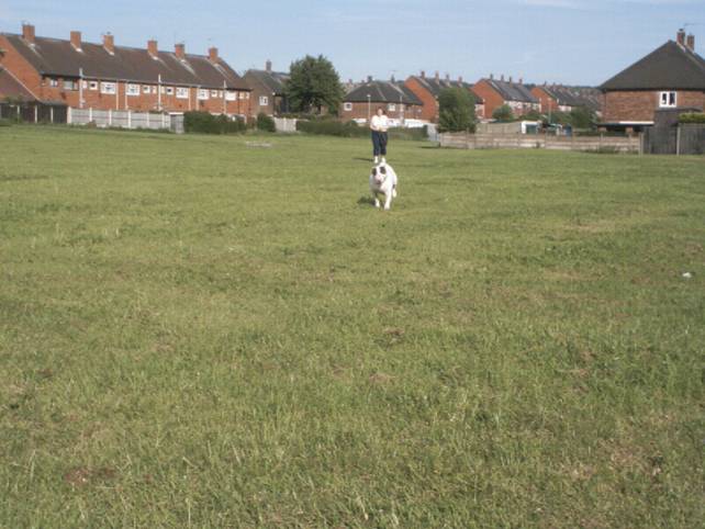 Having a run