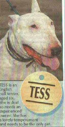 Tess
