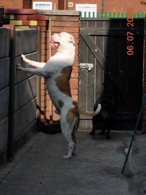 Zeus2