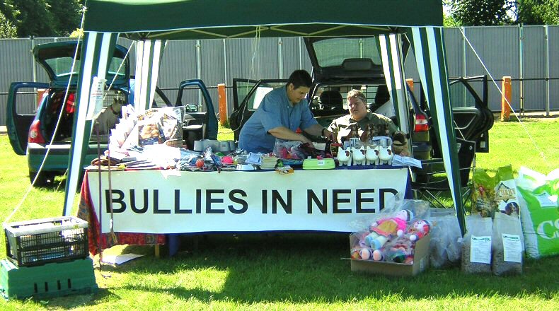 Ann & Michelle manning the stall