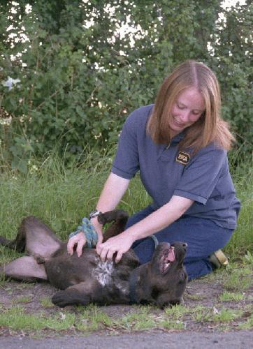 Sam having a belly rub!